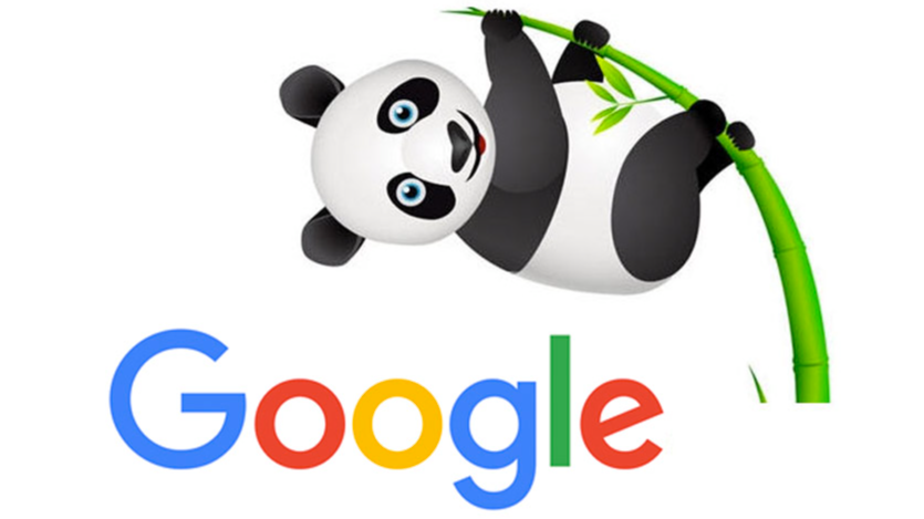 Google Panda Algorithm: Filtering Low Quality in Search